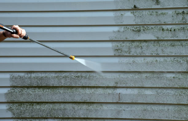 Best Deck Cleaning Services  in Waupaca, WI
