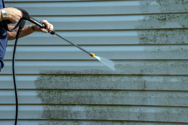 Best Affordable Pressure Washing  in Waupaca, WI